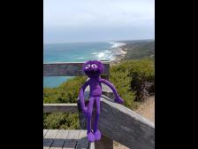 Ein Blick aufs Meer (Bass Strait)