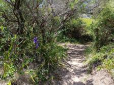 Kurz nach dem letzten Photo, Schlange