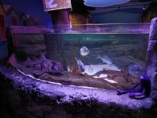 Blickkontakt nicht abbrechen