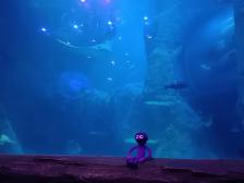 Der Stachelrochen hat Pirouetten gedreht