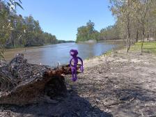 Zum Gl&uuml;ck knabbern Stechm&uuml;cken Knuts nicht