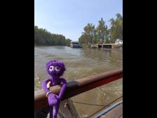Auf dem Dampfschiff. Von Echuca aus kann man den Fluss Murray navigieren. Zwischen 1864 und 1890 war es ein wichtiger Hafen f&uuml;r den Transport von Wolle und Holz, bevor der Zuganschluss die Unberechenbarkeit von Fluss-transport &uuml;berholt hat.