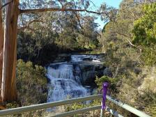 Agnes Falls - der Wasserfall war schön voll, zum Glück hat es die Tage zuvor geregnet