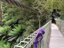 Eine H&auml;ngebr&uuml;cke!