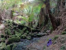 Ein rollender Stein setzt kein Moos an. Aha, diese rollen nicht mehr ;)