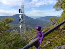 Die Antennen sehen aus wie gro&szlig;e Trommeln