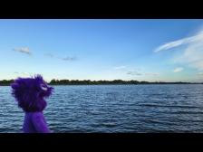 Guten Morgen Beetzsee!