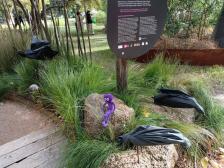 Vor den V&ouml;geln braucht man keine Angst haben.. glaube ich