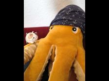 Octavian reagiert wie immer ganz gelassen