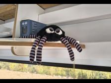 Eine Spinne mehr an Bord ist auch egal - willkommen Grimbalda!